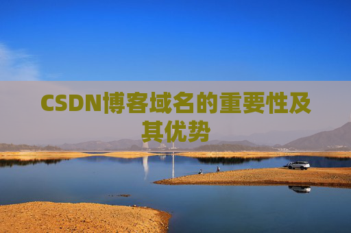 CSDN博客域名的重要性及其优势